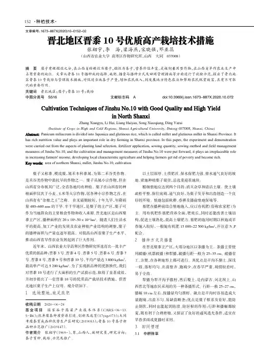 晋北地区晋黍10号优质高产栽培技术措施