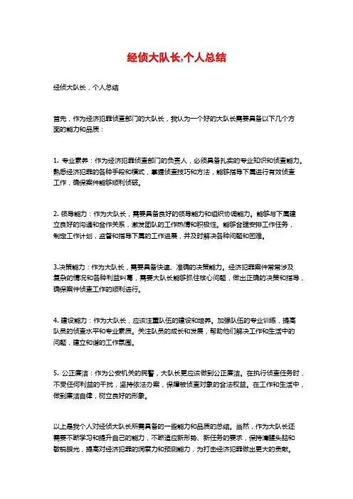 经侦大队长,个人总结