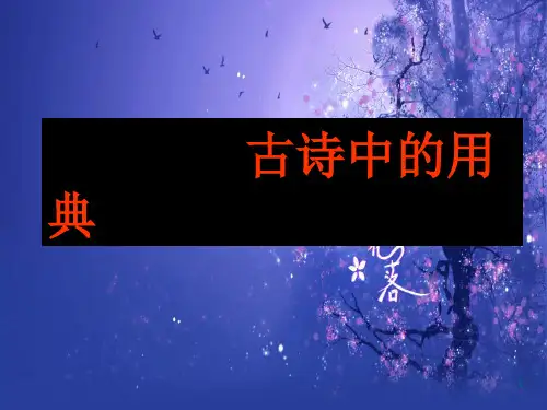 古诗词典故运用(完整)