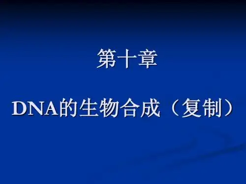 生化·第13章·DNA的生物合成