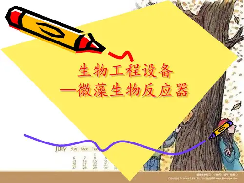 微藻生物反应器