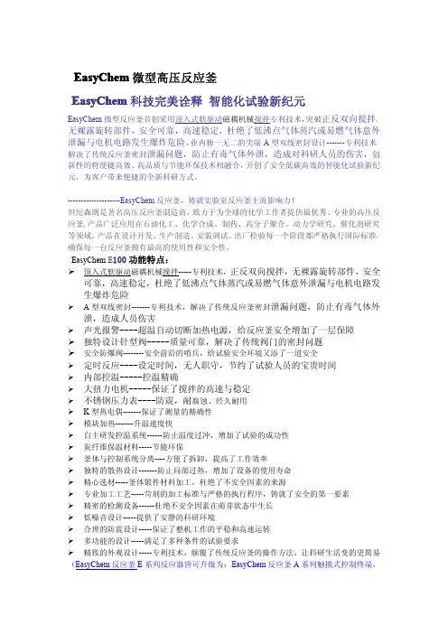 微型高压反应釜E100
