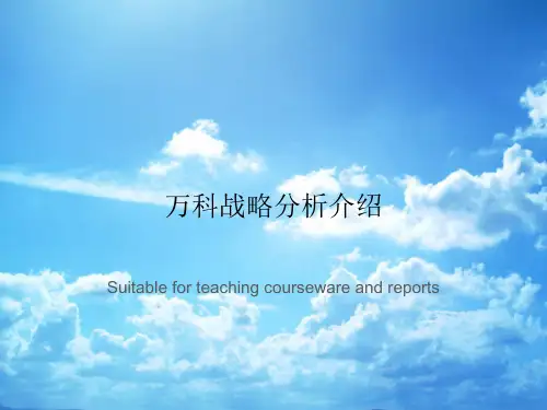 万科战略分析介绍