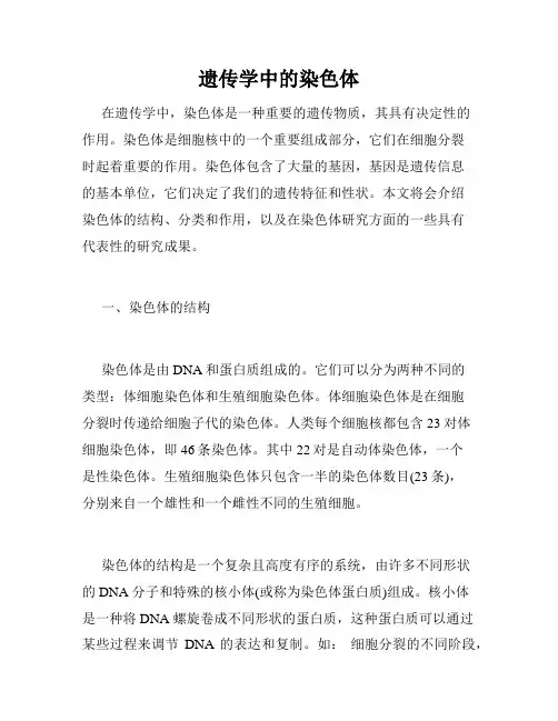 遗传学中的染色体