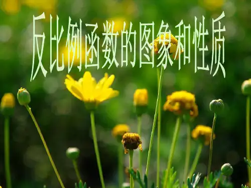 反比例函数的图象和性质(公开课)