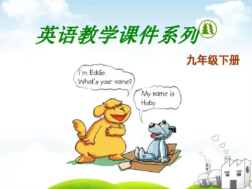 新牛津译林版九年级英语下册Unit 2 Grammar教学课件