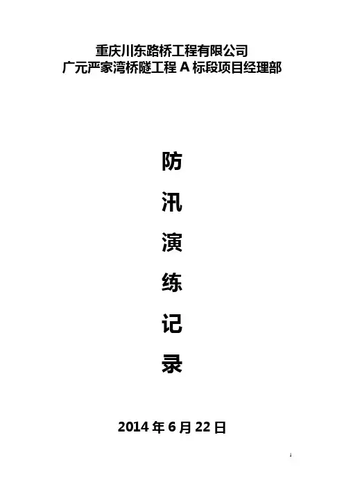 防汛应急演练记录