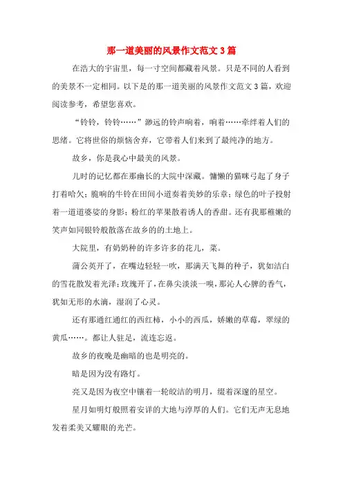 那一道美丽的风景作文范文3篇