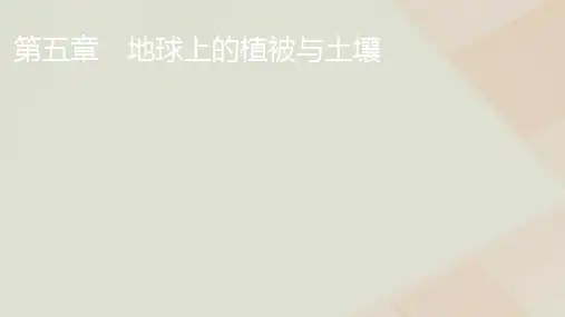 湘教版高中地理必修第一册第5章第1节主要植被与自然环境课件