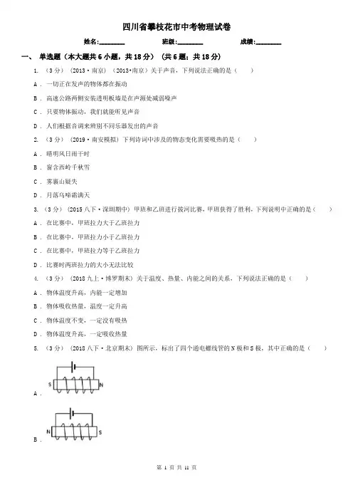 四川省攀枝花市中考物理试卷
