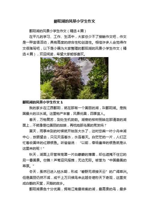 鄱阳湖的风景小学生作文