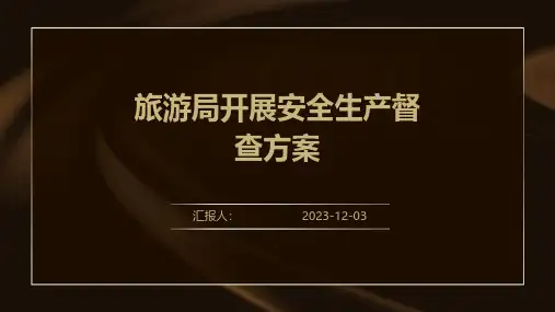 旅游局开展安全生产督查方案