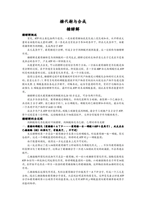 生物化学6 糖代谢与合成