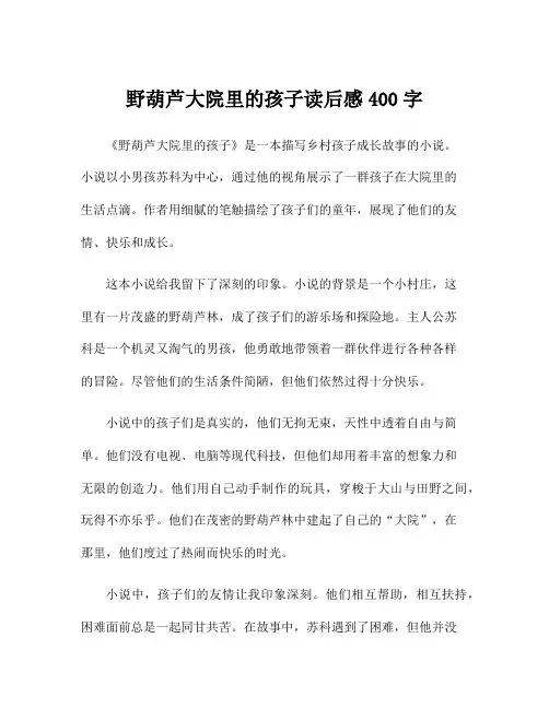 野葫芦大院里的孩子读后感400字