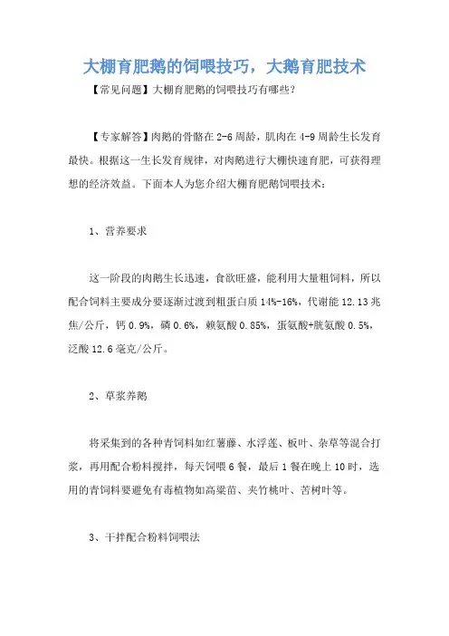 大棚育肥鹅的饲喂技巧,大鹅育肥技术