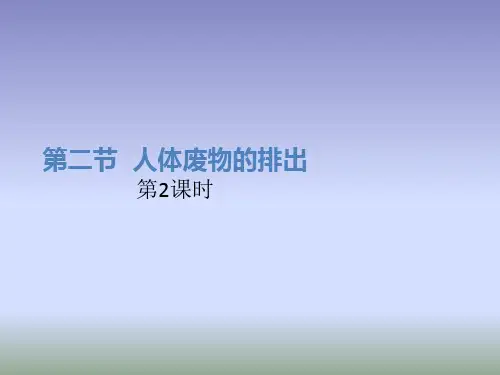 苏教版生物七年级下册11.2《人体废物的排出》(第2课时)课件 (共19张PPT)