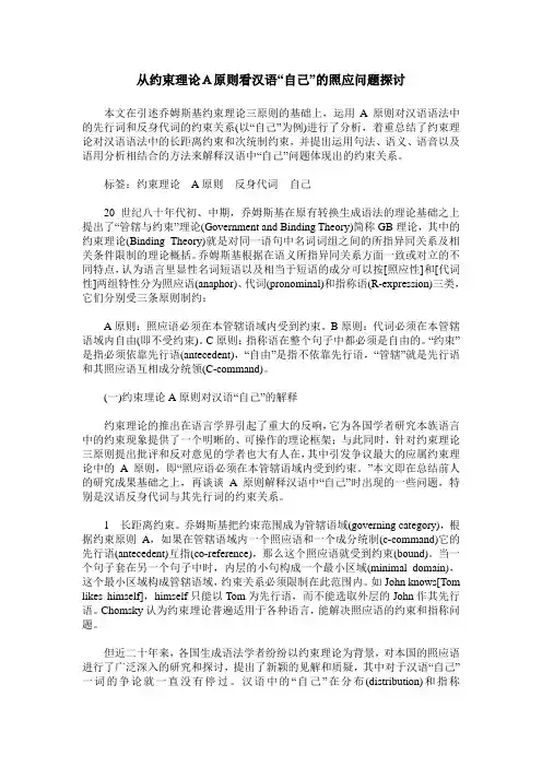 从约束理论A原则看汉语“自己”的照应问题探讨