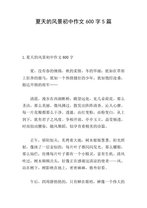 夏天的风景初中作文600字5篇