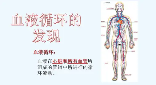 科学家的故事 血液循环的发现