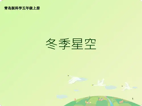 青岛版科学五上《冬季星空》ppt课件