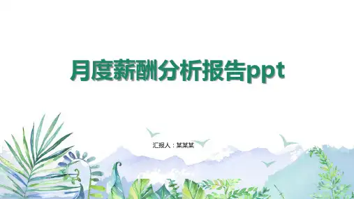 月度薪酬分析报告ppt