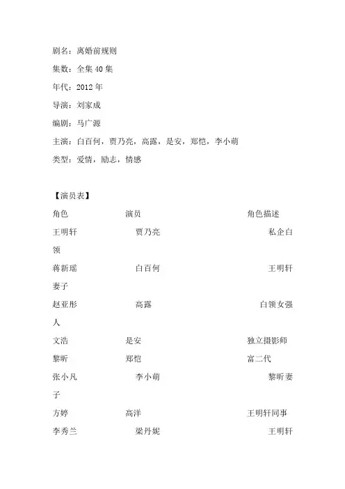 电视剧《离婚前规则》剧情介绍