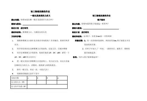 初三物理实践性作业2