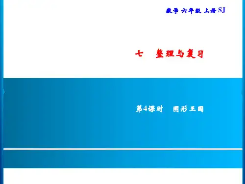 六年级上册数学习题课件-7 第4课时 图形王国｜苏教版(共9张PPT)
