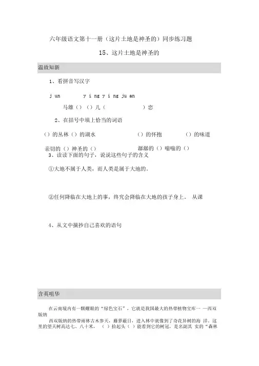 这片土地是神圣的同步练习题