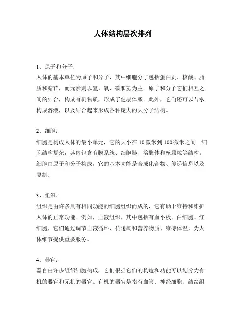 人体结构层次排列