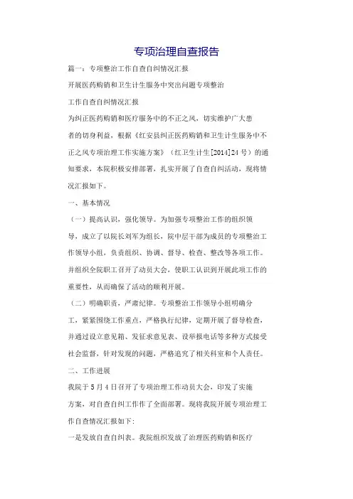 专项治理自查报告
