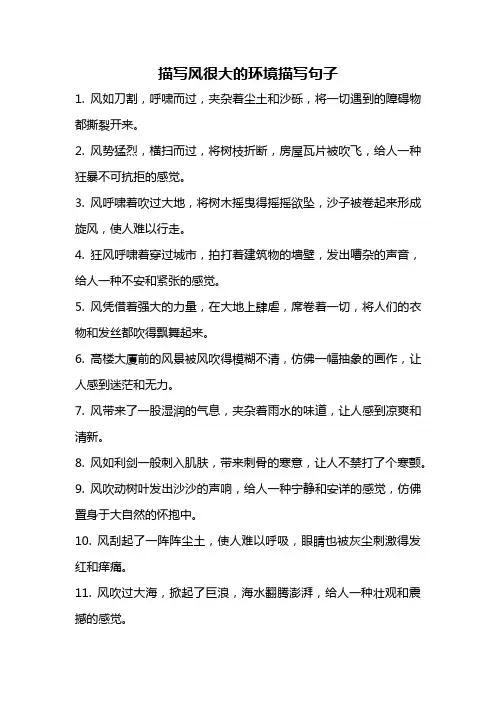描写风很大的环境描写句子