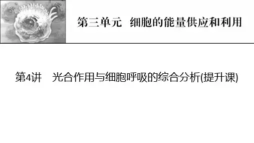 新高考生物人教版一轮复习课件第3单元第4讲光合作用与细胞呼吸的综合分析