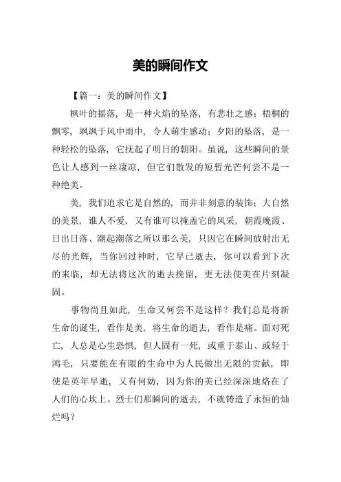 美的瞬间作文
