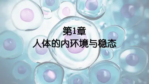 内环境的稳态ppt课件