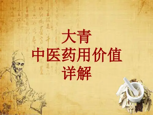 中药学_大青_药材详解课件模板