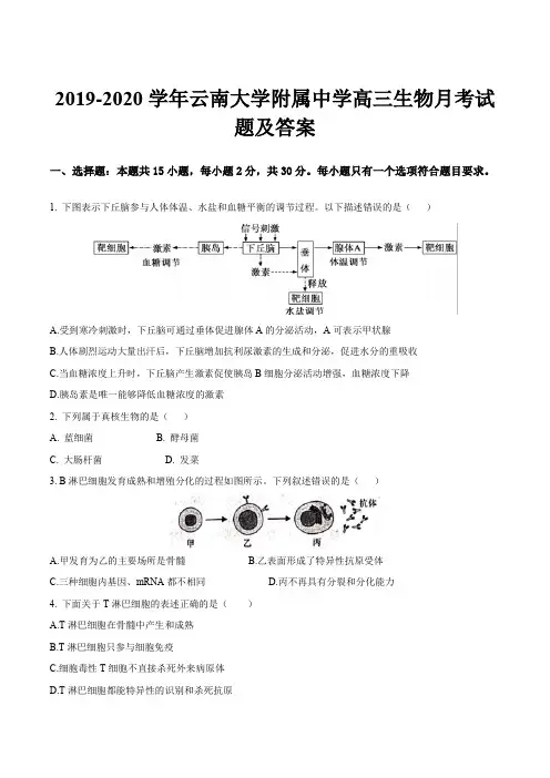2019-2020学年云南大学附属中学高三生物月考试题及答案