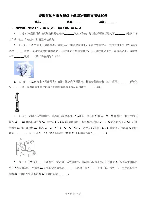 安徽省池州市九年级上学期物理期末考试试卷
