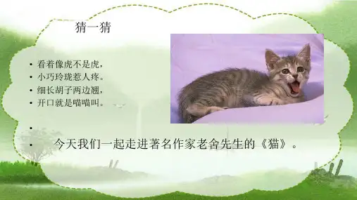 最新部编人教版小学语文四年级下册《猫》教学课件