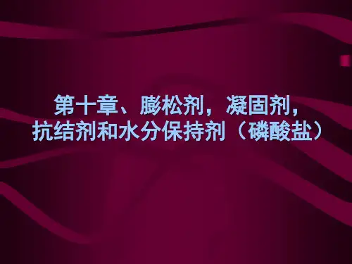 食品添加剂 第十章 膨松剂