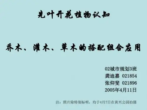 同济大学建筑与城市规划学院景观考研资料先叶开花植物认知-乔木、灌木、草木的搭配组合应用