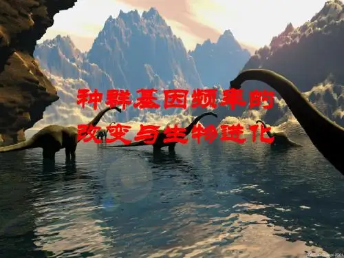 种群基因频率的改变与生物进化ppt1 精品课件