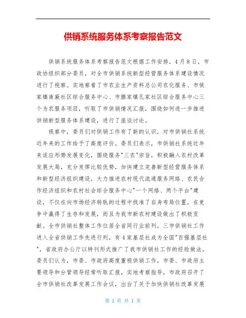 供销系统服务体系考察报告范文