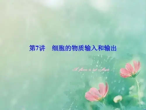 2019届高考一轮总复习课标版·生物课件：第二单元 细胞的基本结构 1-2-7细胞的物质输入和输出