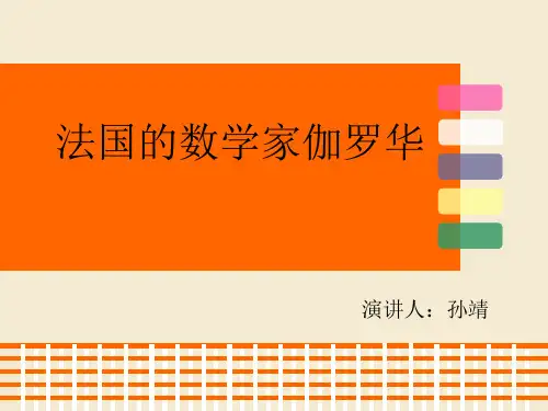 伽罗华的故事