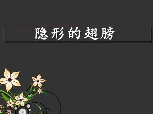 《隐形的翅膀》PPT课件