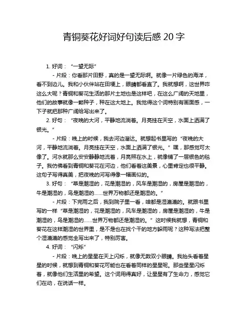 青铜葵花好词好句读后感20字