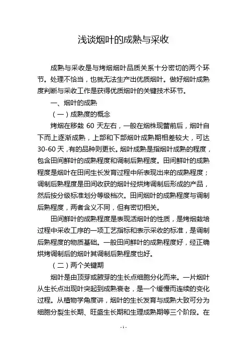 浅谈烟叶的成熟与采收
