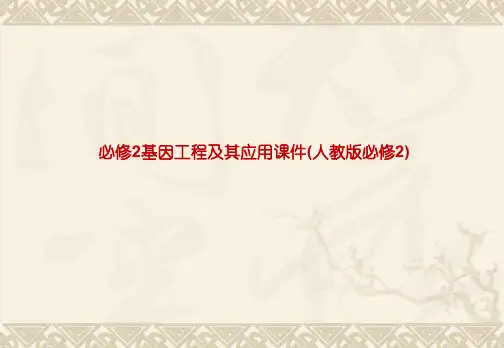 必修2基因工程及其应用课件(人教版必修2)