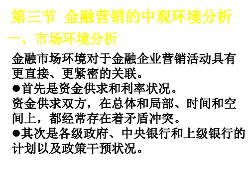 金融营销环境分析案例 (1)